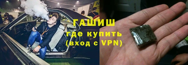 амф Ельня