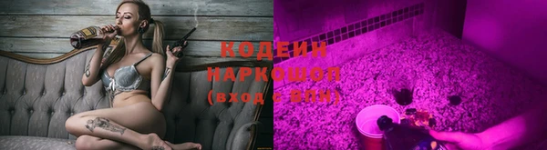 шишки Балабаново