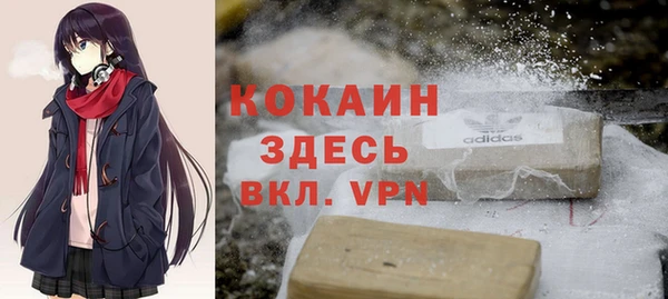 шишки Балабаново
