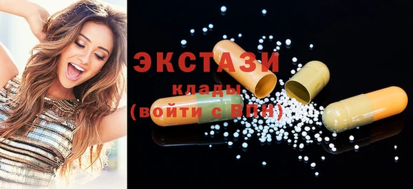 амф Ельня
