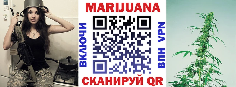 Бошки Шишки планчик  продажа наркотиков  Светогорск 